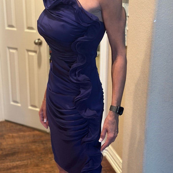 Catherine Malandrino - Gorgeous Purple Dress - Size 2 - Worn Once - Picture 5 of 5